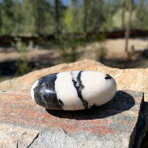 NANCY Zebra Jasper Palmstone