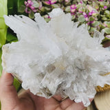 Large Selenite Cluster (Item #0024)