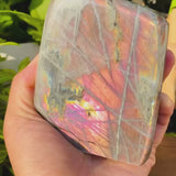 Grand (1,43 lb) Purple Flash Labradorite Freeform (article n ° 0078)