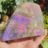 Grande (1.63 lbs.) Purple Flash Labradorite Freeform (Artículo n.º 1003)