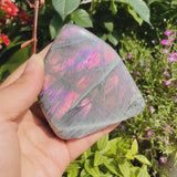 Purple Flash Labradorite Freeform 330gram  (Item #0083)