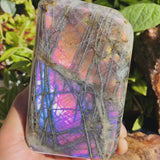 Large (1.48 lbs.) Purple Flash Labradorite Freeform (Item #1020)
