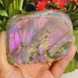Grote (1,04 lbs.) Purple Flash Labradorite Freeform (Artikel #0093)