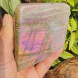 Grande (.75 lbs.) Purple Flash Labradorite Freeform (Artículo #0092)